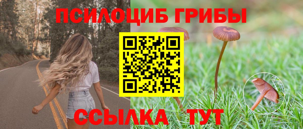 Псилоцибиновые грибы MAGIC MUSHROOMS  Псилоцибиновые грибы Psilocybe  Керчь  Вход с VPN 